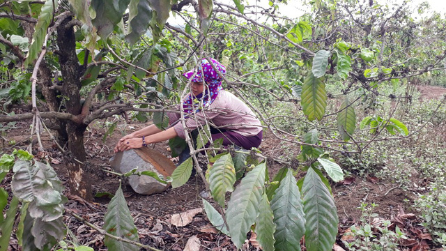 Gia[-]Lai:[-]Chưa[-]bồi[-]thường[-]xong,[-]huyện[-]đề[-]nghị[-]cho[-]mỏ[-]đá[-]hoạt[-]động[-]lại!